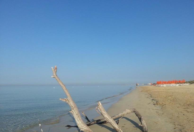 Alma Terra Salento B&b