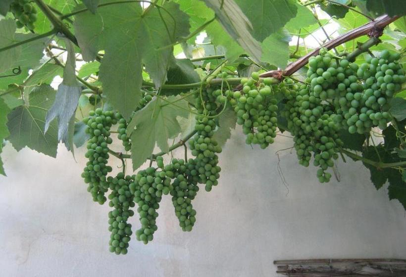 B&b A Casa Delle Zie