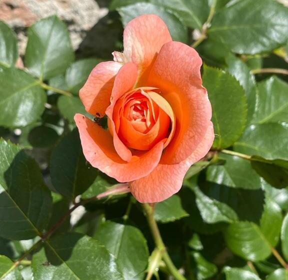 B&b Corte Sul Naviglio Cin I T 0 1 5 0 7 0 C 1 3 X U I L Q C V