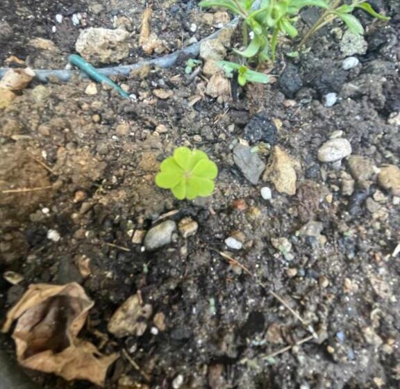 B&b Corte Sul Naviglio Cin I T 0 1 5 0 7 0 C 1 3 X U I L Q C V