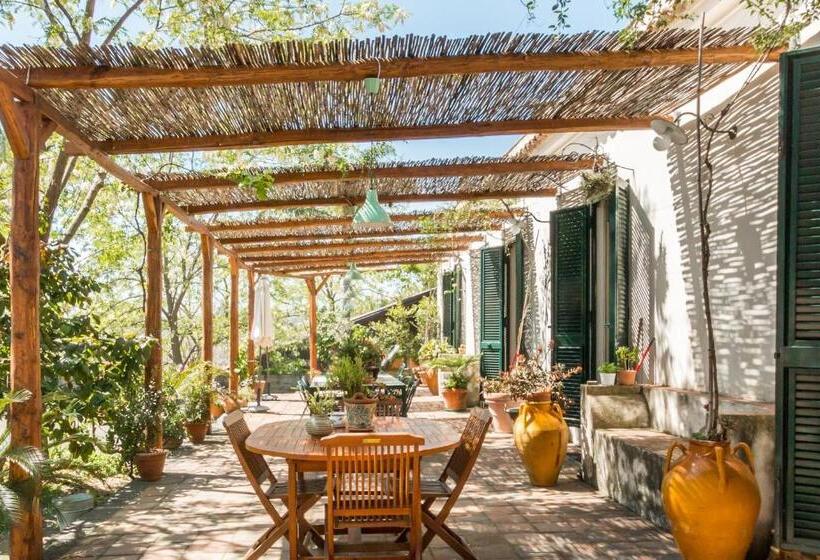 B&b La Casa Di Pippinitto