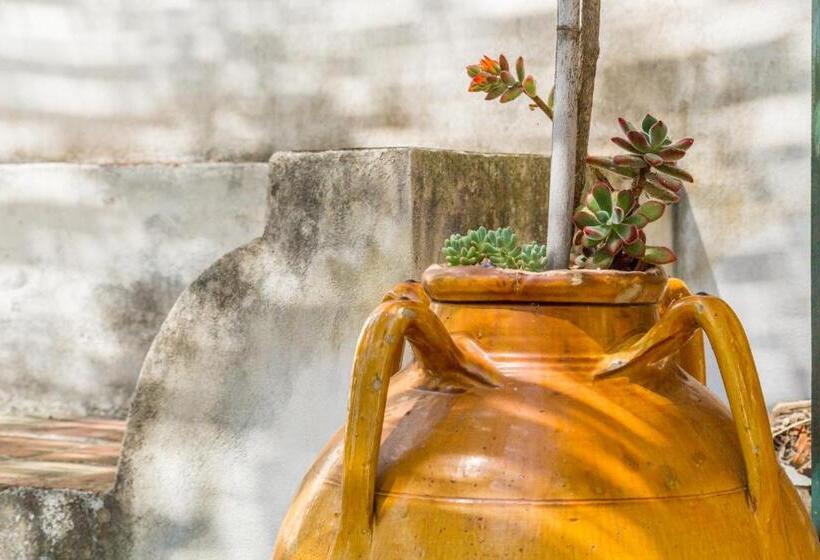 B&b La Casa Di Pippinitto