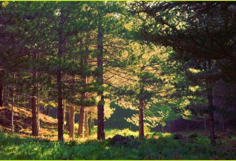 B&b La Casa Di Pippinitto