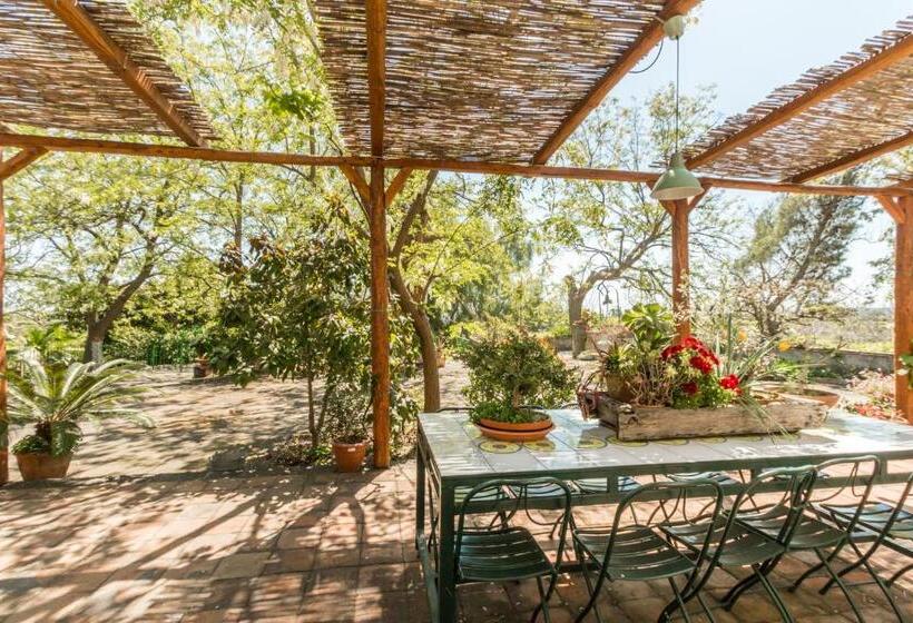 B&b La Casa Di Pippinitto