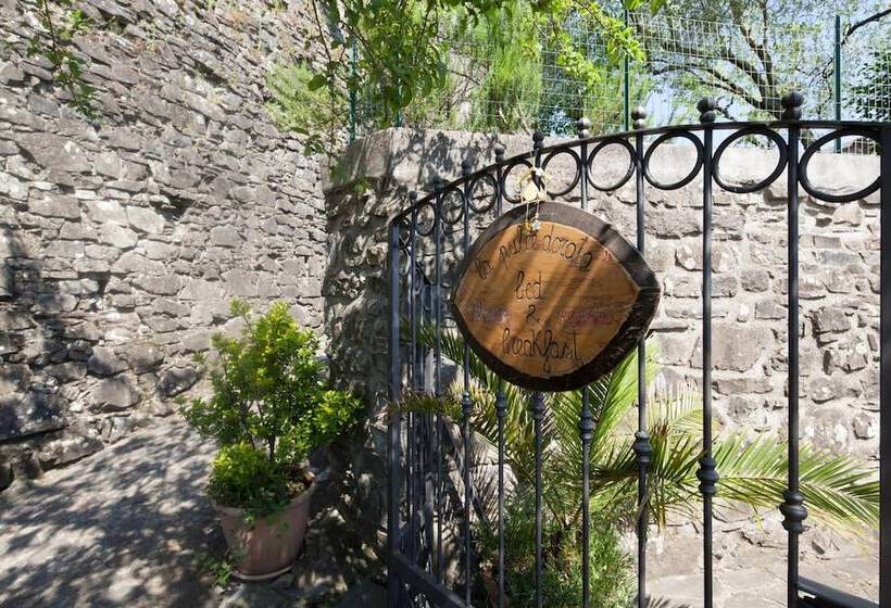 B&b La Pulce Dorata