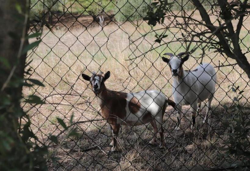 B&b Le Colline Country House