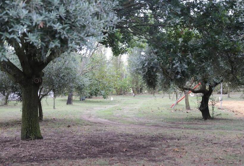 B&b Le Colline Country House