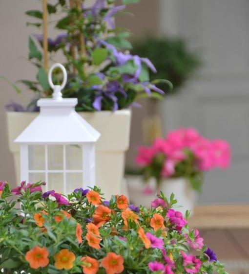 B&b Mediterranea Sea House