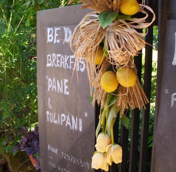 B&b Pane & Tulipani