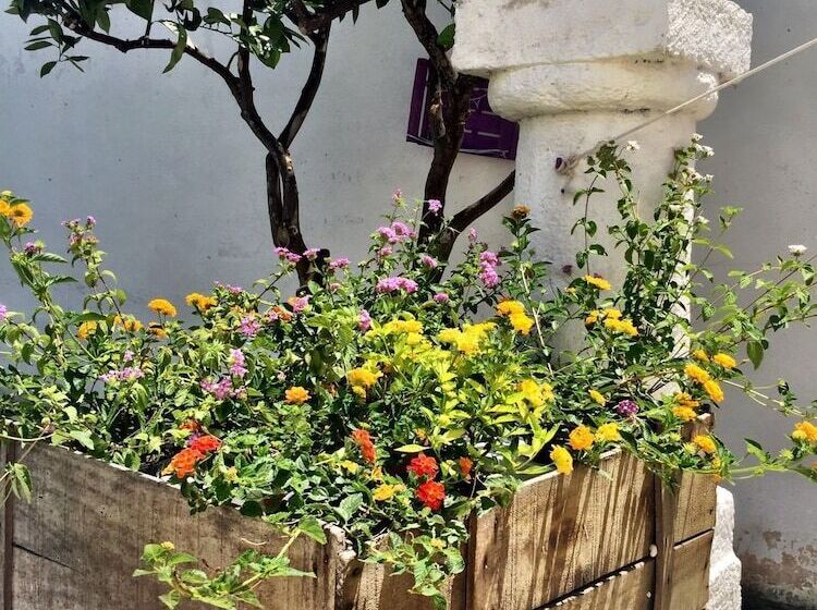 B&b Residenza Celeste