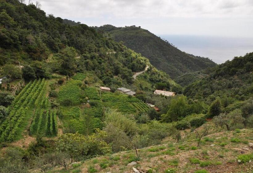 ベッドアンドブレックファースト Agriturismo Costa Di Campo