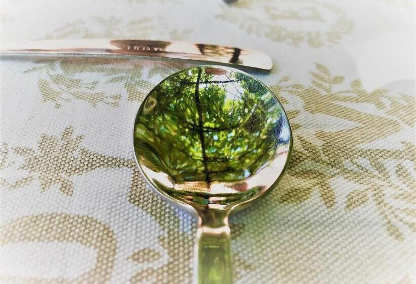 ベッドアンドブレックファースト Agriturismo Gocce Di Luna