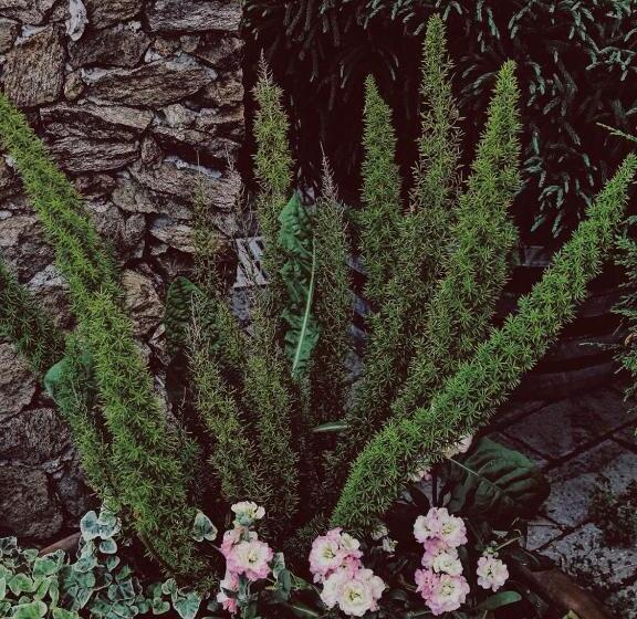 ベッドアンドブレックファースト Agriturismo Gocce Di Luna