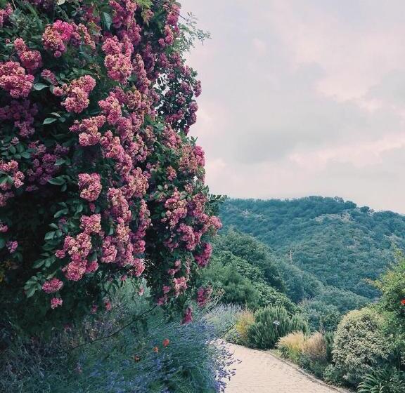 ベッドアンドブレックファースト Agriturismo Gocce Di Luna