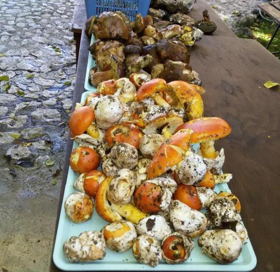 צימר Agriturismo Macchiapiede