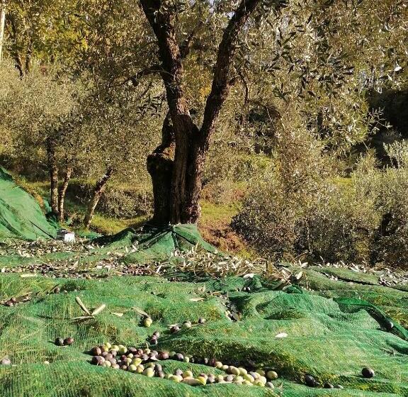 민박 Agriturismo Tananei