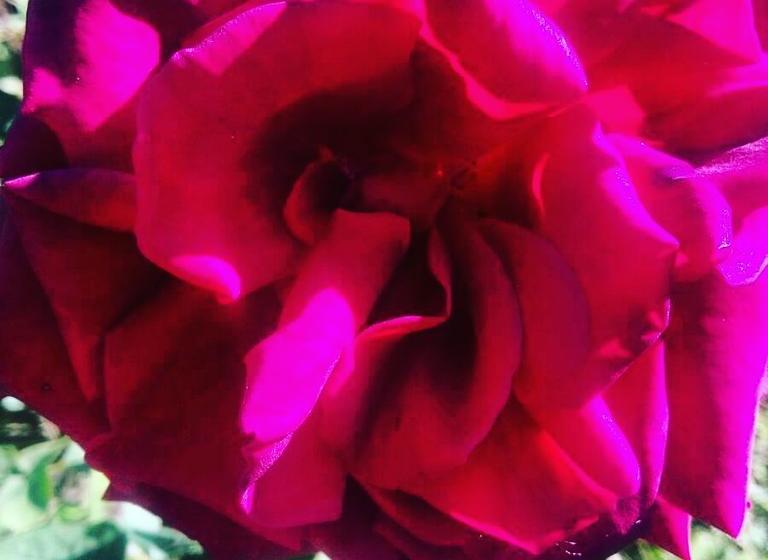 مبيت وإفطار Balally House