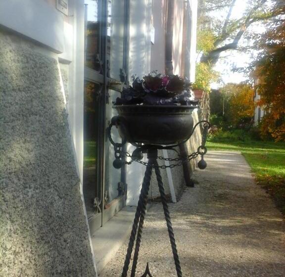 住宿加早餐  Cà Morari