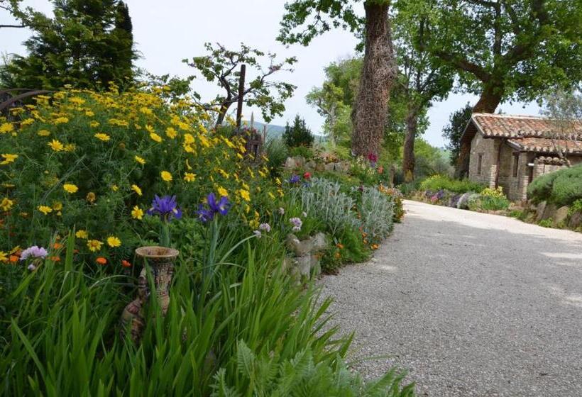 住宿加早餐  Casale Il Cerqueto