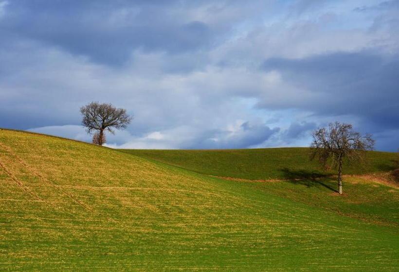 住宿加早餐  Casale Il Cerqueto