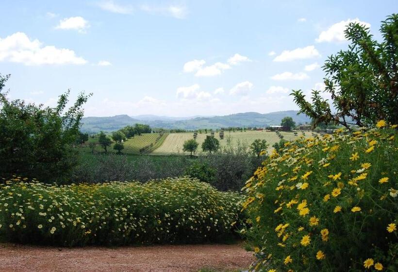 住宿加早餐  Casale Il Cerqueto