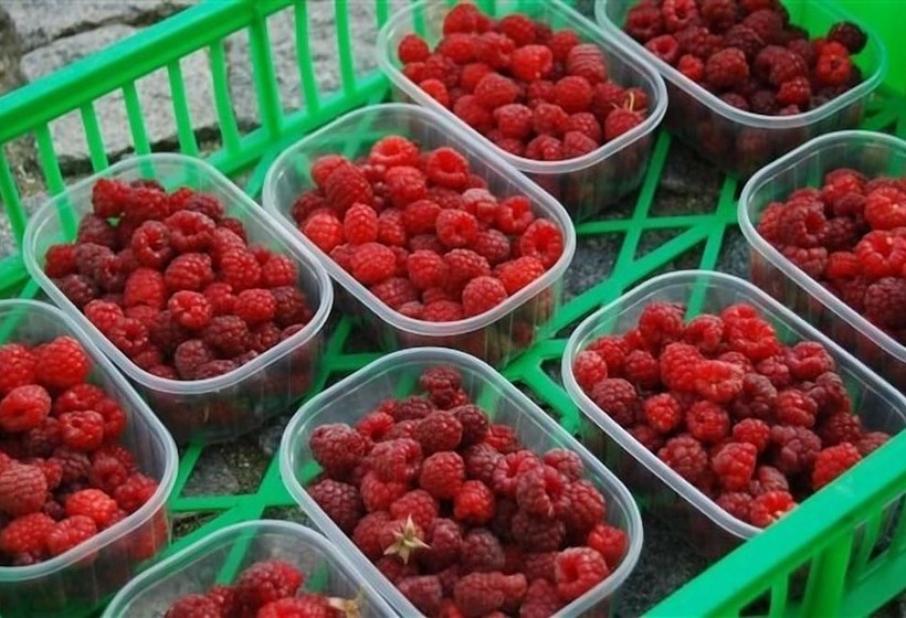 민박 Casale Osvalda