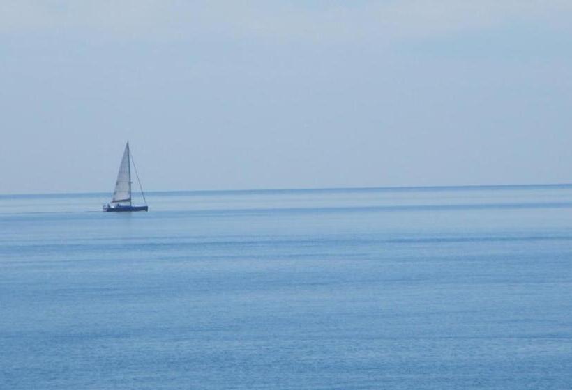 住宿加早餐  Colapesce