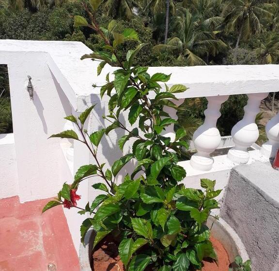 مبيت وإفطار Holi Wood Guesthouse