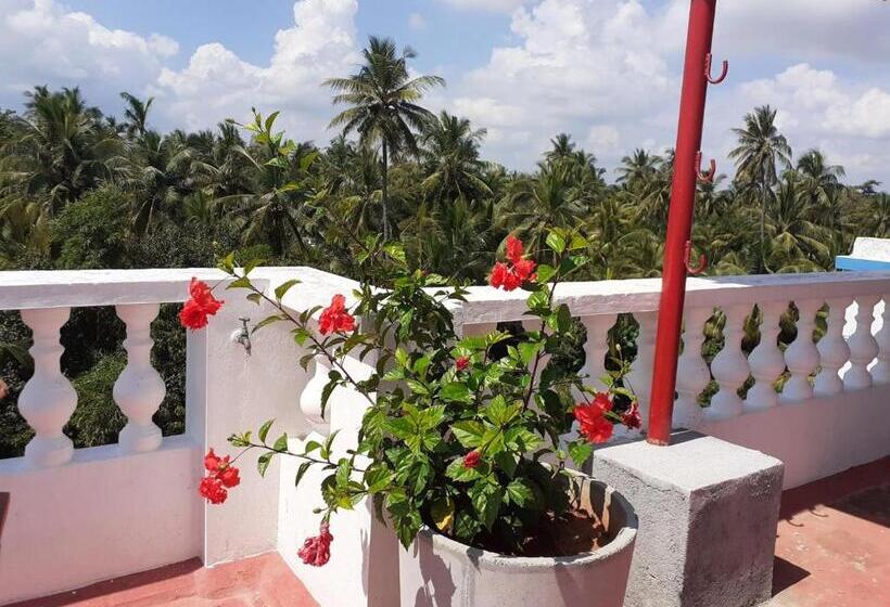 مبيت وإفطار Holi Wood Guesthouse