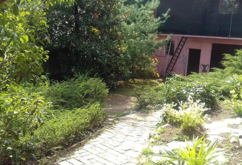 مبيت وإفطار Il Nido Del Pettirosso