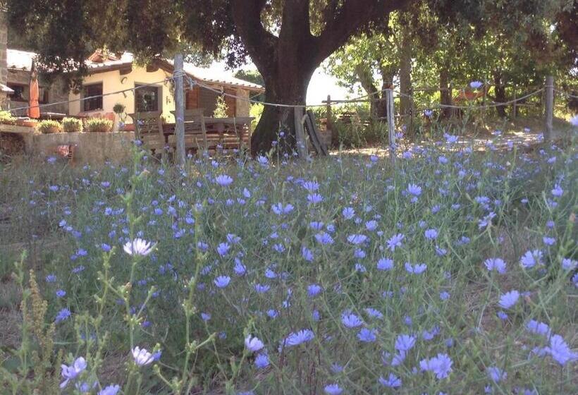 צימר Il Soffio Di Eolo