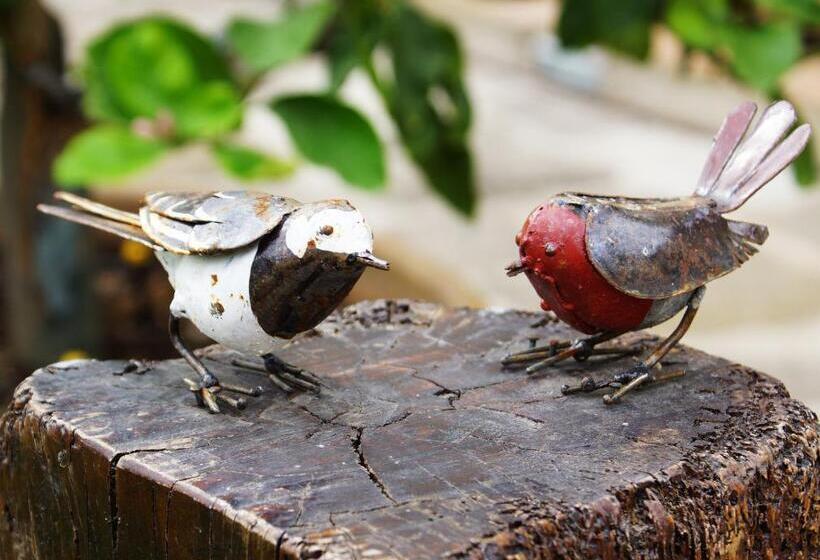 ベッドアンドブレックファースト La Corte Di Ronzano