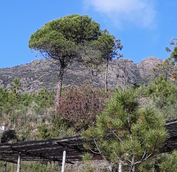 تختخواب و صبحانه La Madonetta   Dimora D Epoca