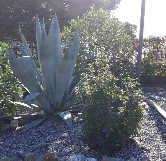 تختخواب و صبحانه La Madonetta   Dimora D Epoca