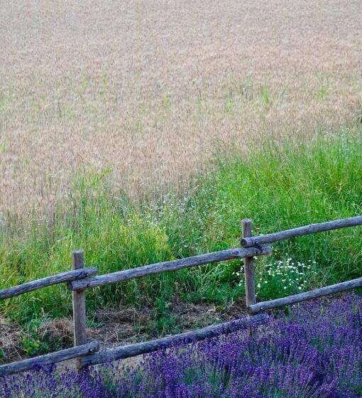 צימר Le Macine Relais