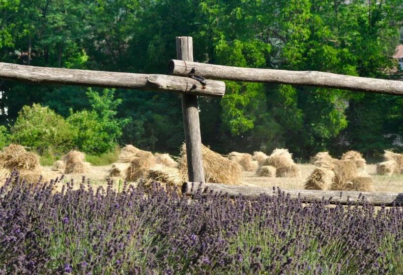 צימר Le Macine Relais