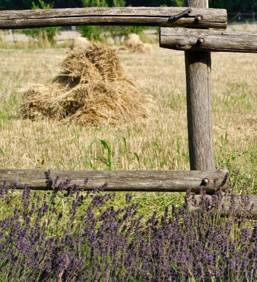 צימר Le Macine Relais