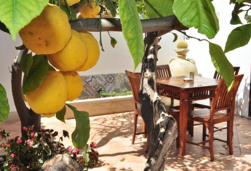 住宿加早餐  Le Margherite