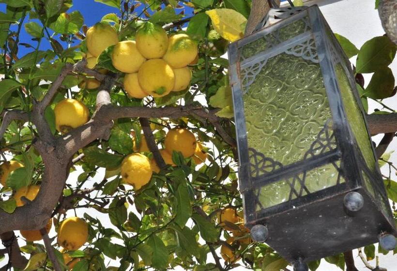 住宿加早餐  Le Margherite