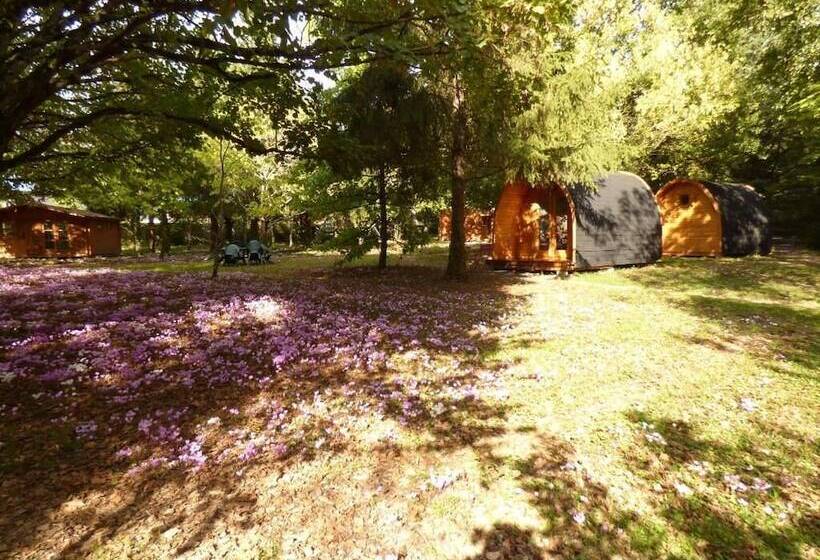 צימר La Rossignolerie   Pod Cabanes Des Châteaux