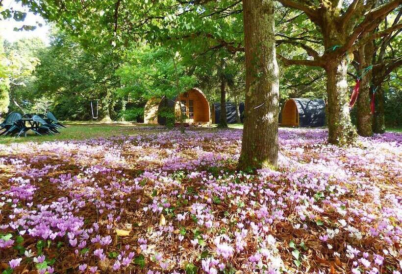 צימר La Rossignolerie   Pod Cabanes Des Châteaux