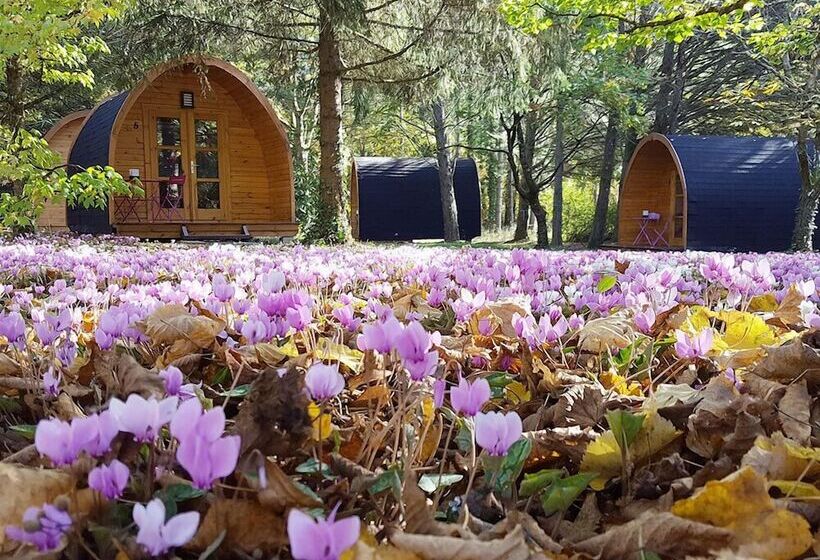 צימר La Rossignolerie   Pod Cabanes Des Châteaux