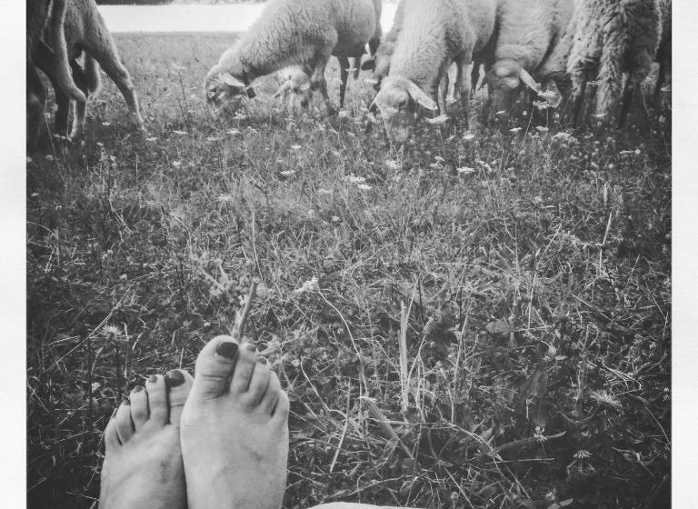 مبيت وإفطار Locanda Di Campagna