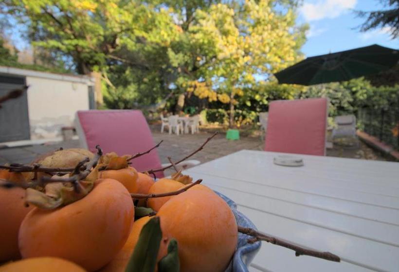 مبيت وإفطار Magma Guest House