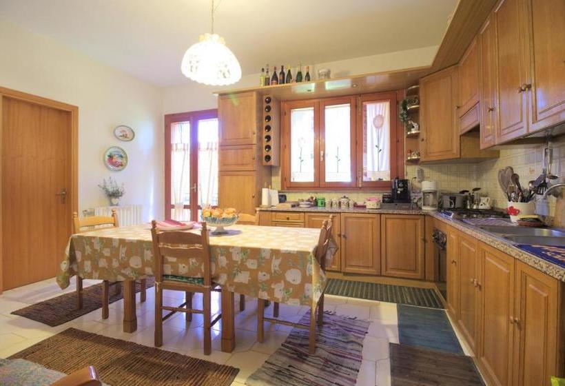 مبيت وإفطار Magma Guest House