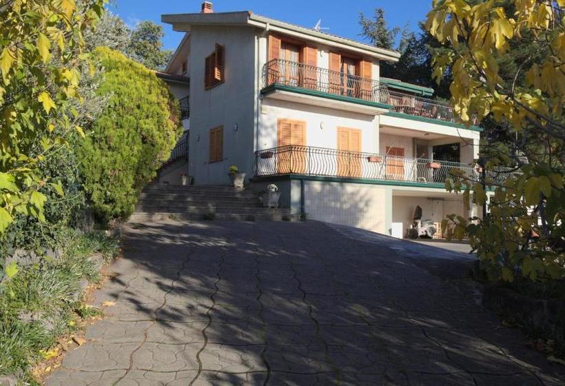 مبيت وإفطار Magma Guest House