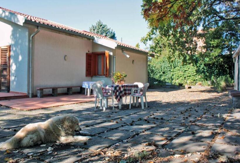 مبيت وإفطار Magma Guest House