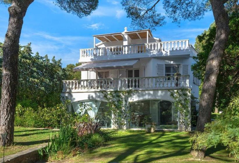 ベッドアンドブレックファースト Mediterranea Luxury House