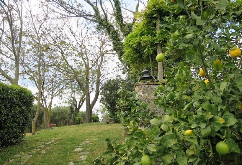 민박 Residenza Santa Maria In Borraccia