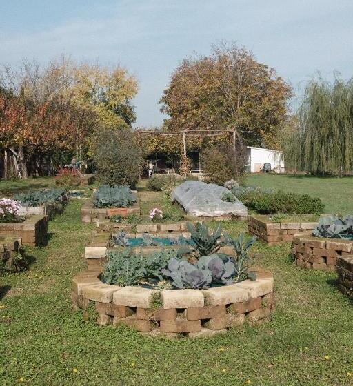 ベッドアンドブレックファースト Tenuta Agriturismo La Borina